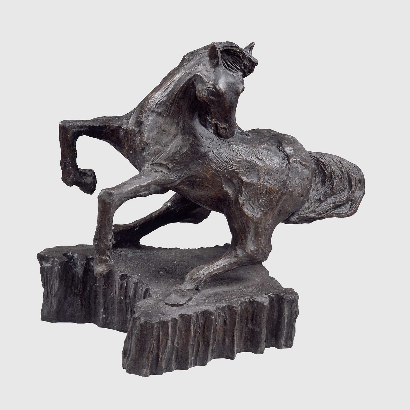 È una scultura non un cavallo