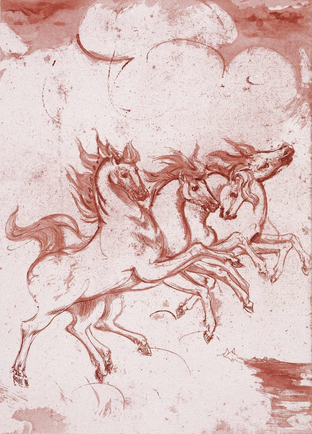 Nelle nuvole i miei cavalli