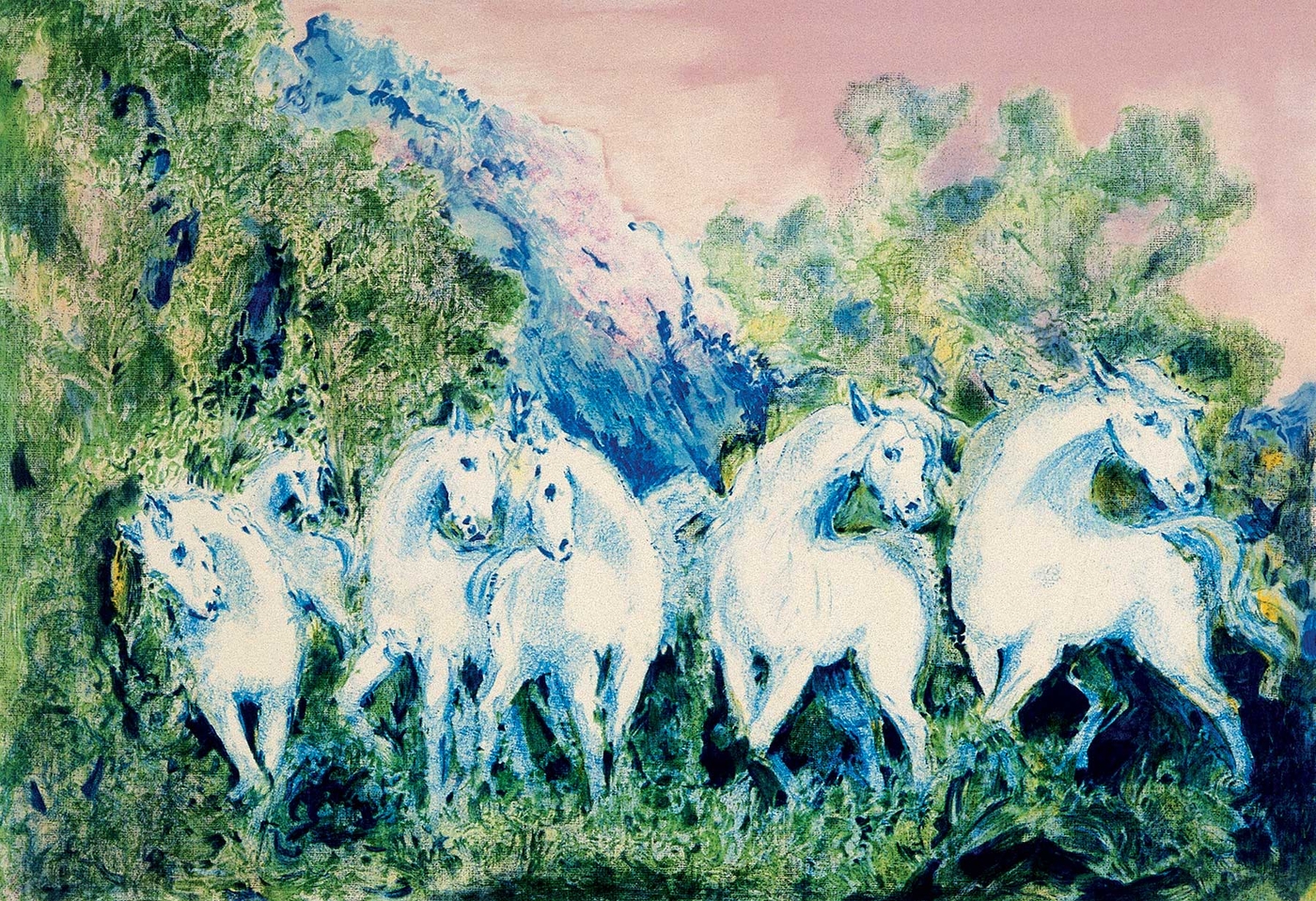 Manada de caballos blancos